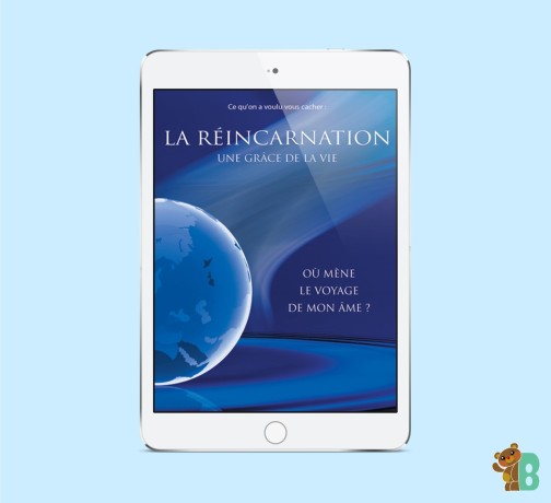 ebook-la-reincarnation-ou-mene-le-voyage-de-mon-ame-big-0